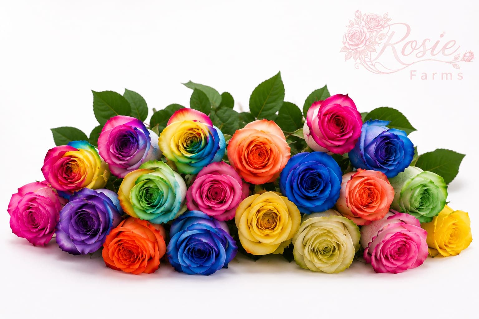 Tinted Roses
